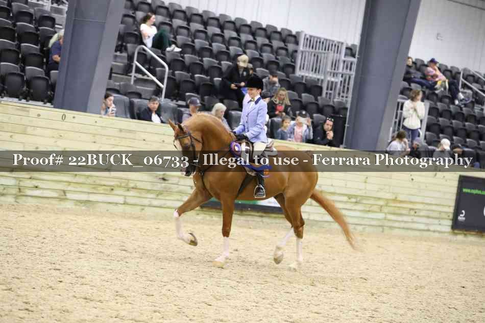Proof 22BUCK_06733