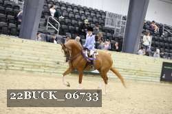 22BUCK_06733 proof