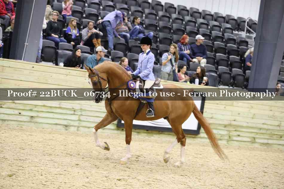 Proof 22BUCK_06734