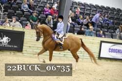 22BUCK_06735 proof