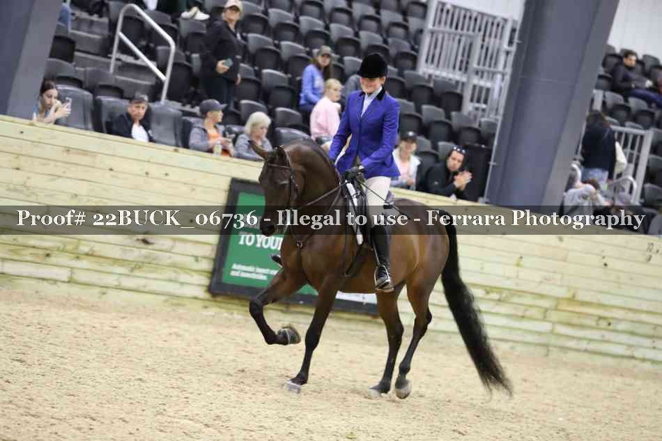 Proof 22BUCK_06736
