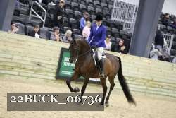 22BUCK_06736 proof