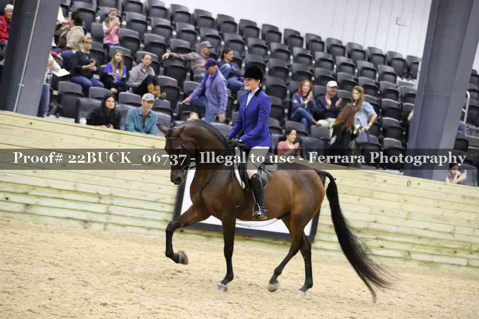 Proof 22BUCK_06737