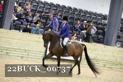 22BUCK_06737 proof