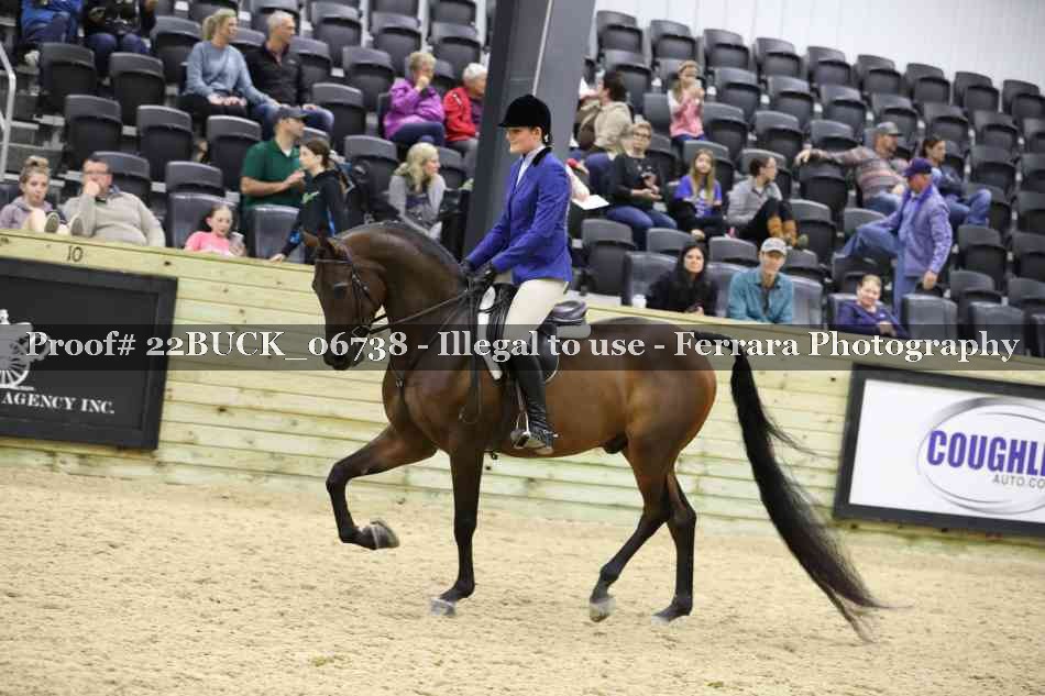 Proof 22BUCK_06738