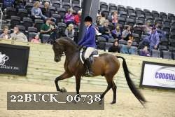 22BUCK_06738 proof