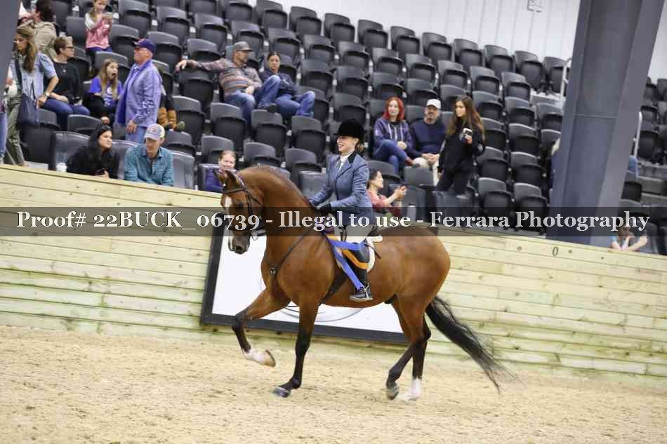 Proof 22BUCK_06739