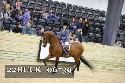 22BUCK_06739 proof