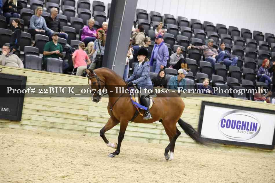 Proof 22BUCK_06740