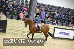 22BUCK_06740 proof