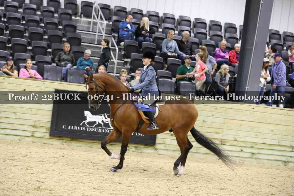 Proof 22BUCK_06741