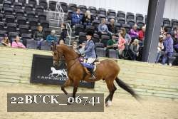 22BUCK_06741 proof