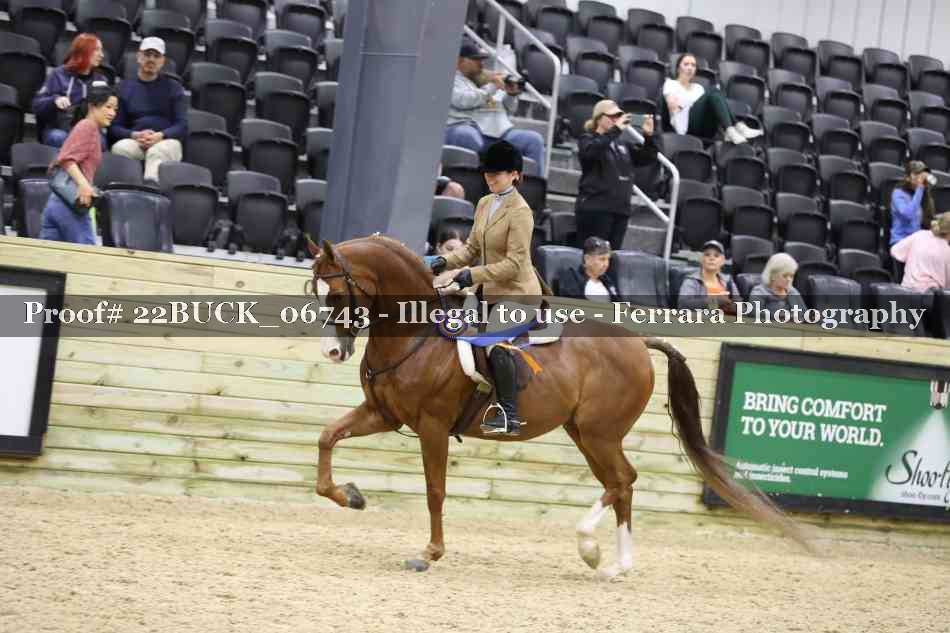 Proof 22BUCK_06743