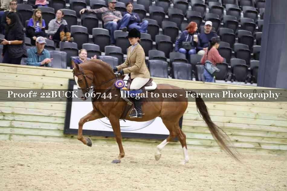 Proof 22BUCK_06744