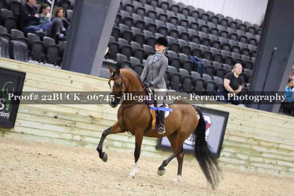 Proof 22BUCK_06745
