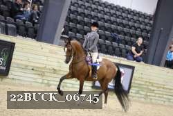 22BUCK_06745 proof
