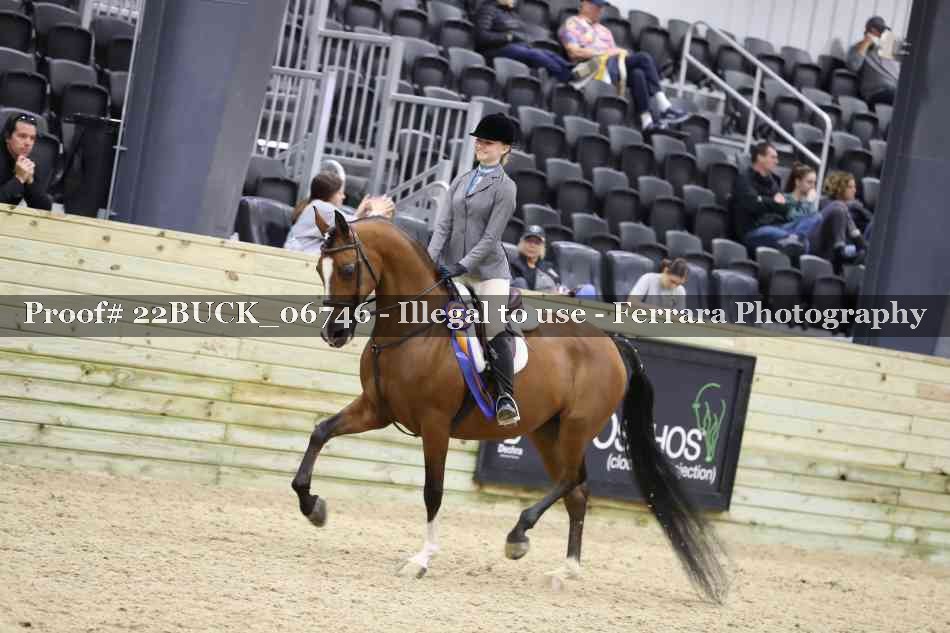 Proof 22BUCK_06746