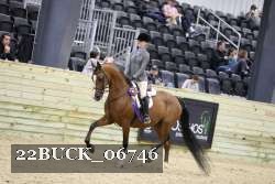 22BUCK_06746 proof