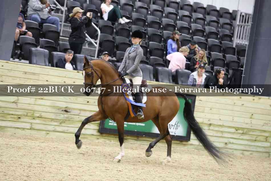Proof 22BUCK_06747