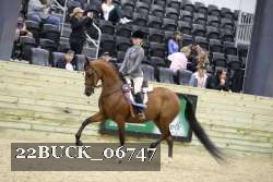 22BUCK_06747 proof