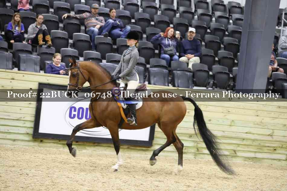 Proof 22BUCK_06748