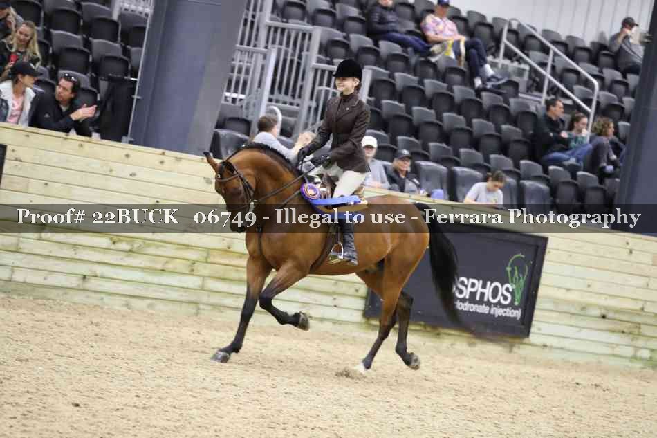 Proof 22BUCK_06749
