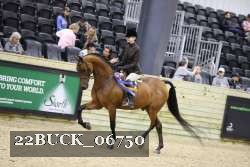 22BUCK_06750 proof