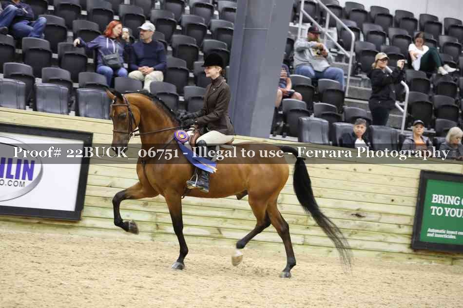 Proof 22BUCK_06751
