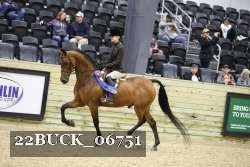 22BUCK_06751 proof