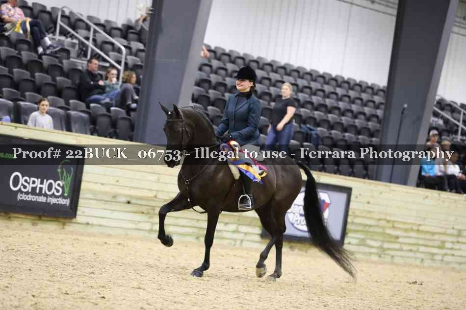 Proof 22BUCK_06753
