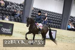 22BUCK_06753 proof