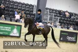 22BUCK_06754 proof