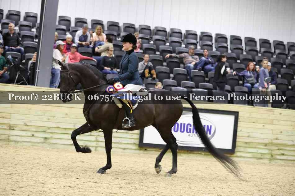 Proof 22BUCK_06757
