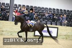 22BUCK_06757 proof