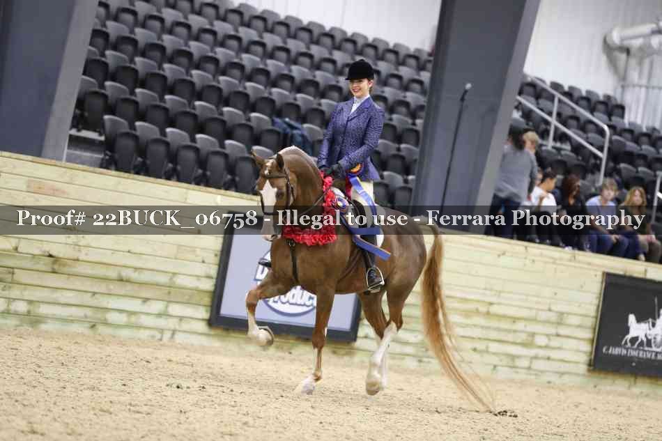 Proof 22BUCK_06758