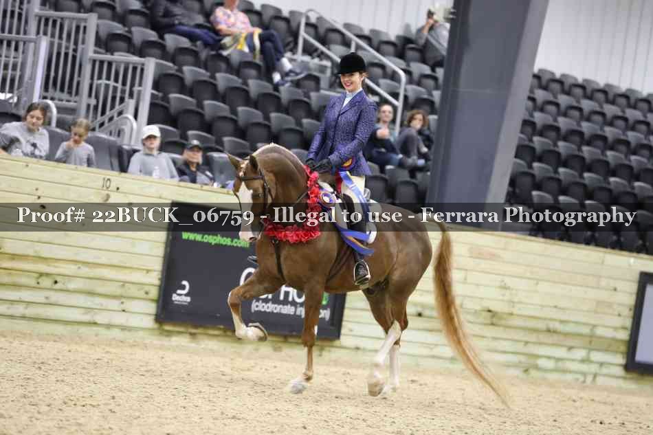 Proof 22BUCK_06759