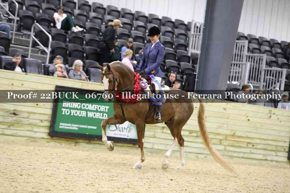 Proof 22BUCK_06760