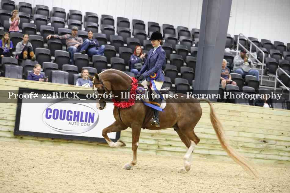 Proof 22BUCK_06761