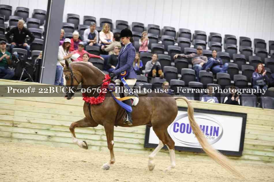 Proof 22BUCK_06762