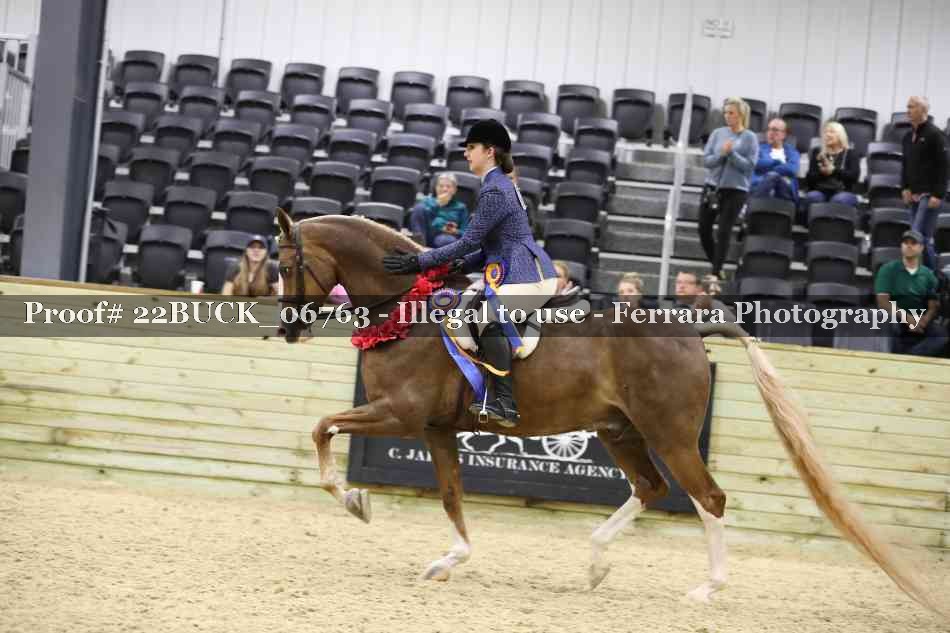 Proof 22BUCK_06763