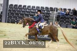 22BUCK_06763 proof