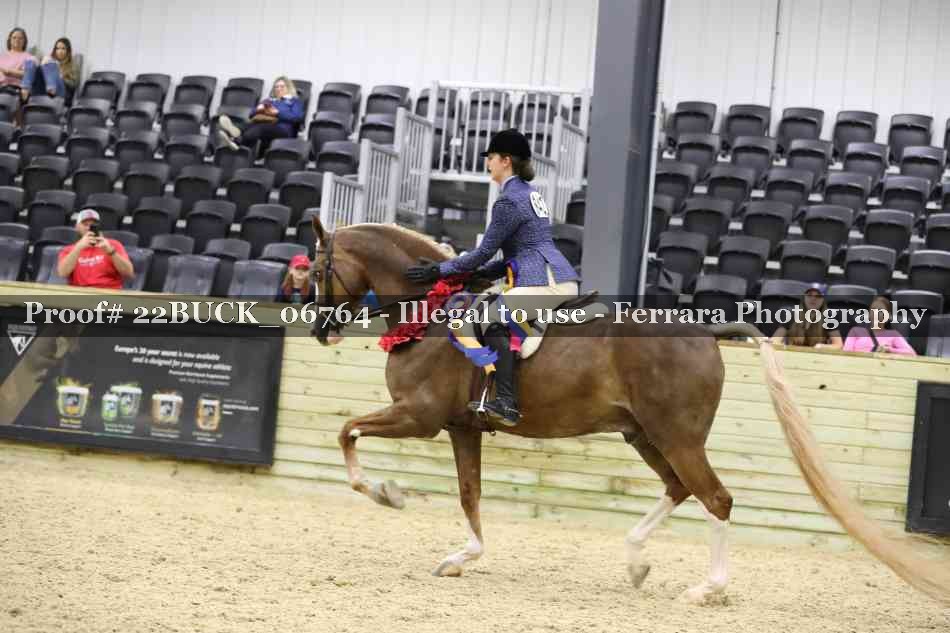 Proof 22BUCK_06764
