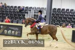 22BUCK_06764 proof