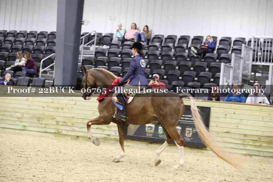 Proof 22BUCK_06765