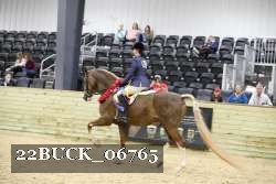 22BUCK_06765 proof