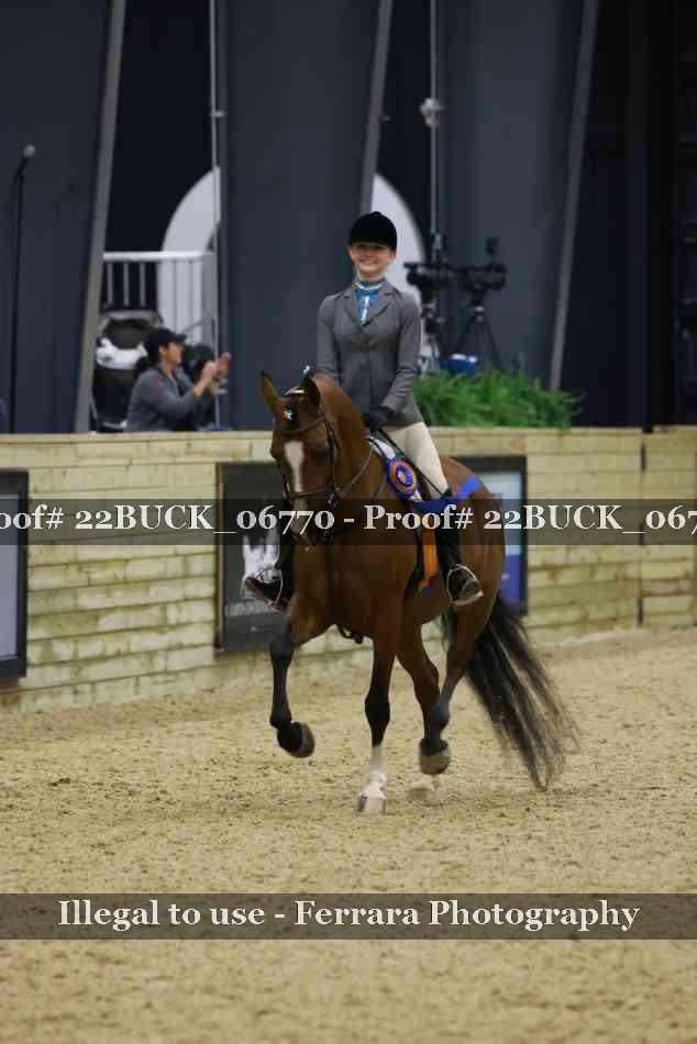 Proof 22BUCK_06770