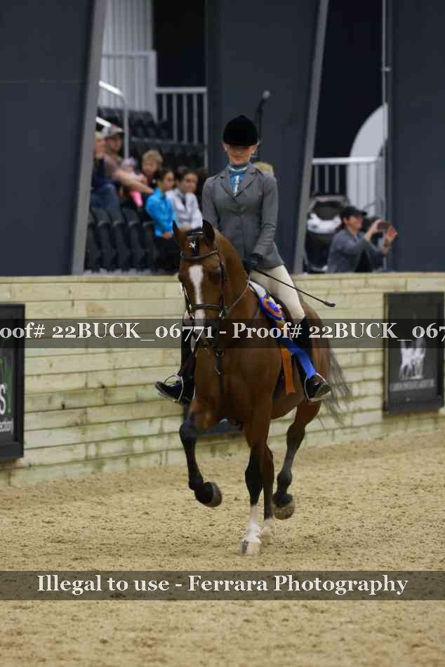 Proof 22BUCK_06771