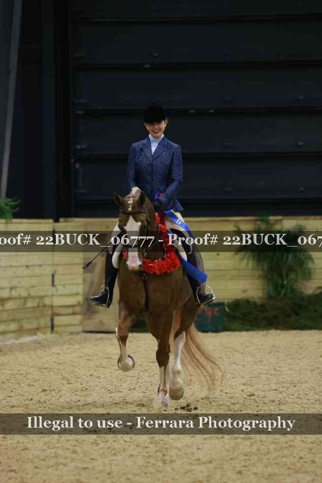 Proof 22BUCK_06777