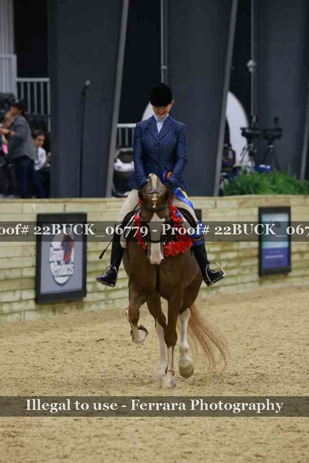 Proof 22BUCK_06779