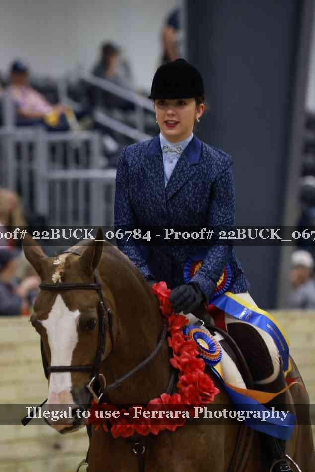 Proof 22BUCK_06784